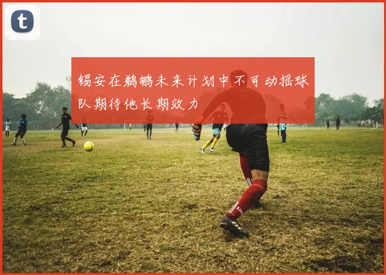 锡安在鹈鹕未来计划中不可动摇球队期待他长期效力